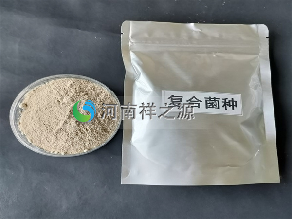 復合菌種 復合菌種