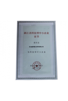 浙江省科技型企業證書